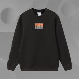 系列套头无帽百搭上衣AWDR945 运动时尚 李宁卫衣男子秋季 新款