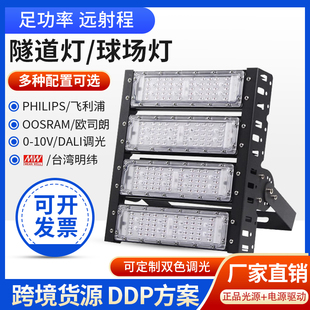 LED模组隧道灯投光灯泛光灯户外防水超亮高杆球场灯厂房广场工矿
