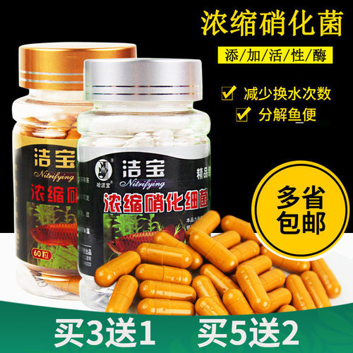 洁宝硝化细菌胶囊打造空气缸