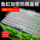 鱼缸盖板防跳网透明网格板加密隔离网水族箱底滤板乌龟晒台造景板