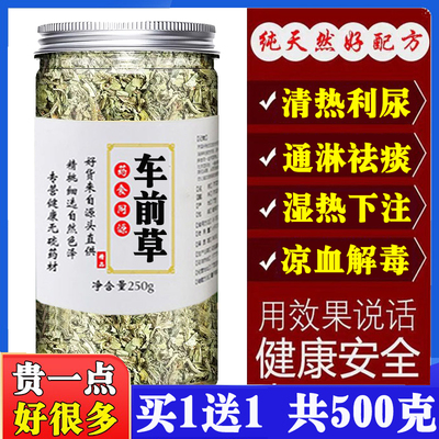 绞股蓝车前草祛浊茶包车前草杜仲