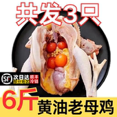 老母鸡2斤农家散养批发商用土鸡冷冻炖汤走地鸡淘汰蛋鸡新鲜现杀