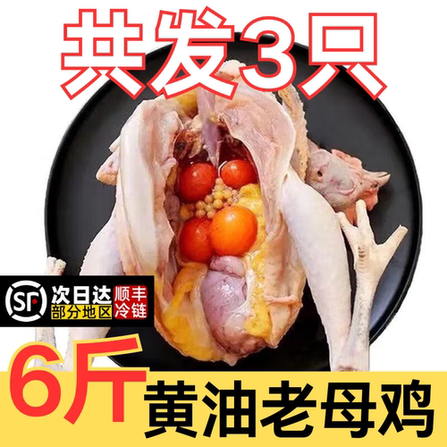 老母鸡2斤农家散养批发商用土鸡冷冻炖汤走地鸡淘汰蛋鸡新鲜现杀