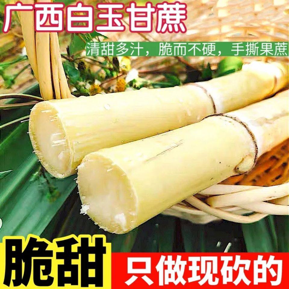 广西木格白玉甘蔗木格白玉蔗广西白玉甘蔗玻璃脆新鲜现砍先发包邮,水产肉类/新鲜蔬果/熟食,其它,淘宝优惠券,粉丝福利购,淘宝优惠卷