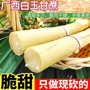 广西木格白玉甘蔗木格白玉蔗广西白玉甘蔗玻璃脆新鲜现砍先发包邮