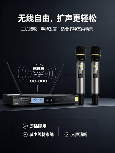 BBS黄标CD300无线话筒一拖二家用卡拉ok唱歌k歌专用麦克风