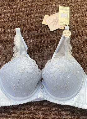 衣恋旗下EBLIN 淡蓝色精美刺绣宫廷风聚拢上托女性文胸ECBR835112