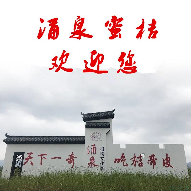 贡品临海涌泉蜜桔无核橘子新鲜5斤当季整箱桔子孕妇水果黄岩蜜橘,水产肉类/新鲜蔬果/熟食,桔子,淘宝优惠券,粉丝福利购,淘宝优惠卷