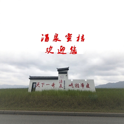 正宗黄岩涌泉临海蜜桔蜜橘无核