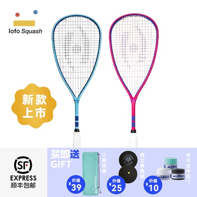 harrow壁球拍高端专业高颜值