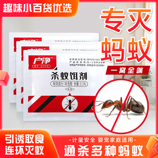 户净蚂蚁家用室内户外厨房大面积除强力灭蚁清杀黑白饵杀虫剂粉