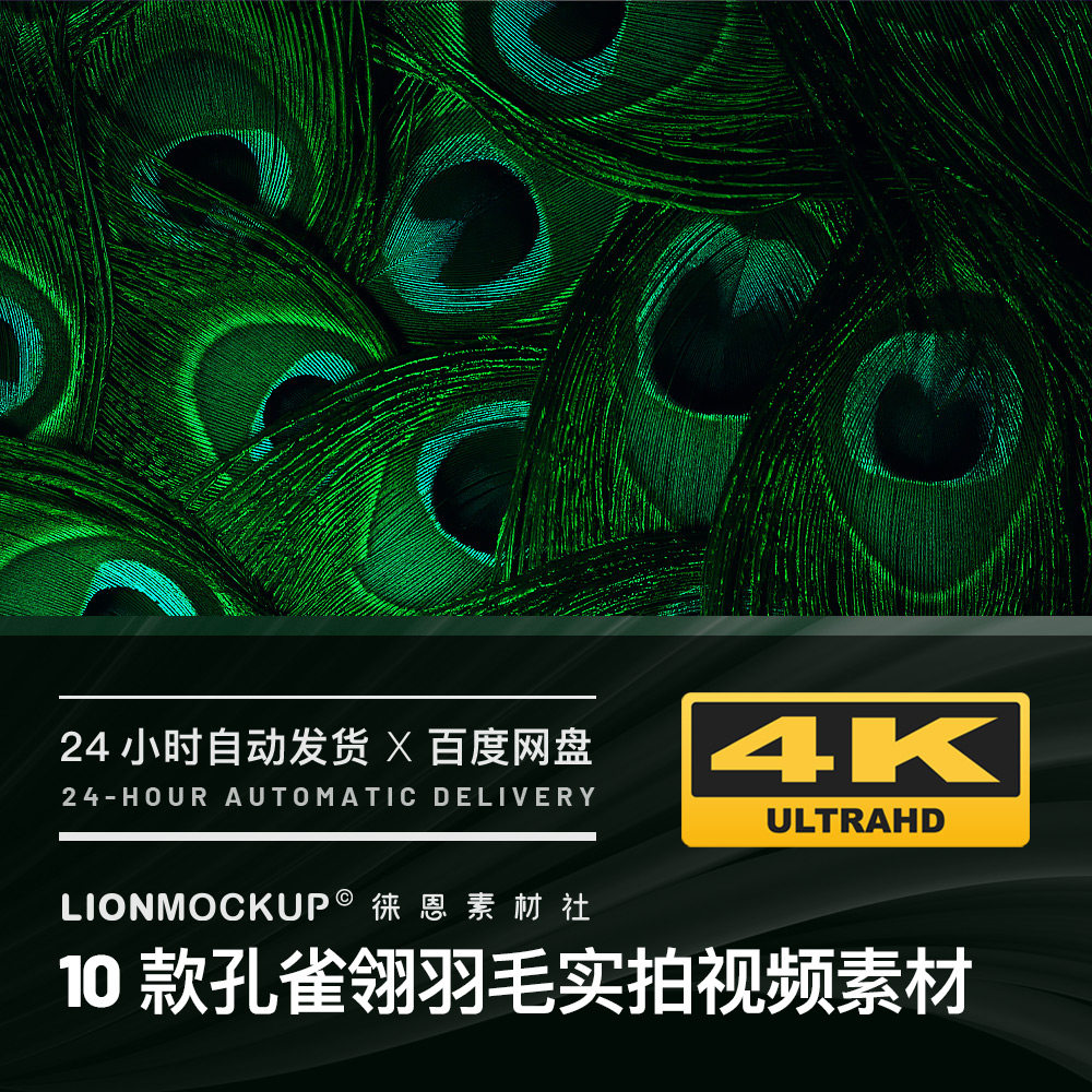 孔雀翎羽毛炫彩花纹微距特写4k高清实拍餐厅艺术展会酒吧视频素材