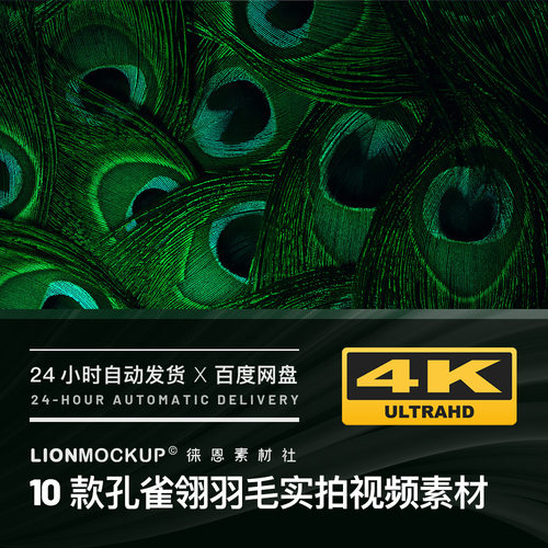 孔雀翎羽毛炫彩花纹微距特写4K高清实拍餐厅艺术展会酒吧视频素材