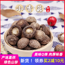 小香菇仔干货特小香茹湖北随州散装商用金钱菇特级野生冬香姑250g