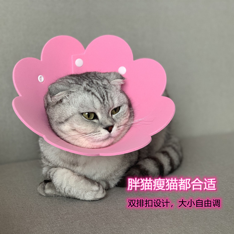 猫咪伊丽莎白圈猫脖圈狗项圈太阳花EVA海绵轻薄防舔头套绝育用品 宠物/宠物食品及用品 项圈/肩带 原图主图