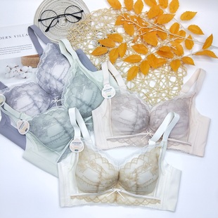 诗碧芳2508滑滑杯舒适无侧骨聚拢内衣女薄小胸防下垂无钢圈文胸罩