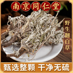 翻白草中药材正品500g野生翻白草整颗带根全株全草番白草新货无硫