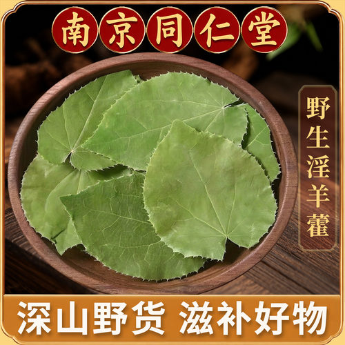 正品甘肃小叶羊藿叶片泡酒滋补