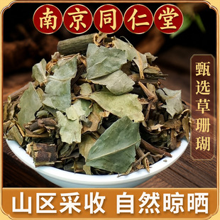 草珊瑚根中药材正品500g肿节风根九节茶根无硫新货
