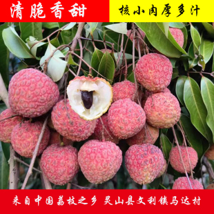 广西钦州市灵山荔枝糯米糍新鲜现摘现发顺丰包邮
