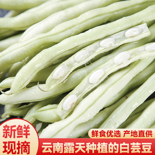 新鲜白不老豆角现摘现发农家白芸豆四季豆当季时令蔬菜