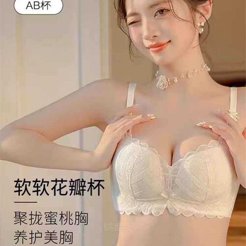 蕾丝小胸聚拢文胸无钢圈内衣女2025新款收副乳防下垂胸罩纯欲