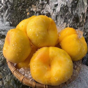 蒙阴黄金毛蟠桃 新鲜水果 4斤净重 包邮包售后