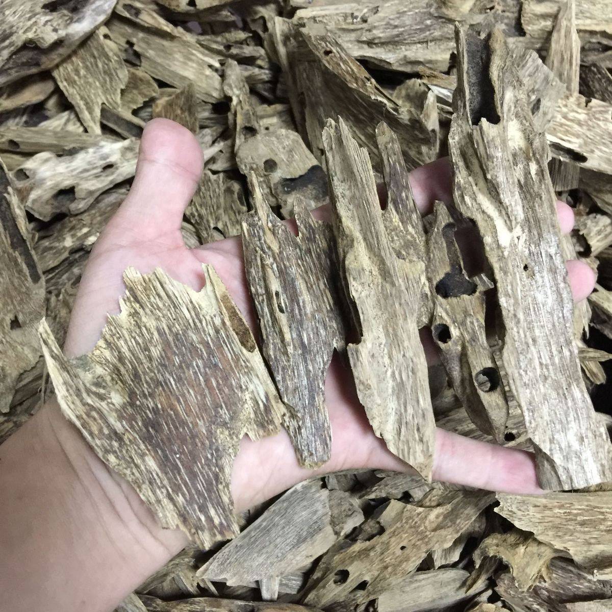 国香天然虫漏海南沉香原材料摆件上炉做香味道一级货可免费代打粉,饰品/流行首饰/时尚饰品新,摆件,淘宝优惠券,粉丝福利购,淘宝优惠卷