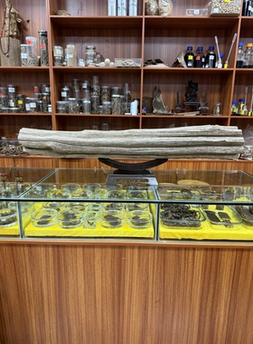 横财沉香摆件海南树心油老料黄油格天然保真送礼工艺品原木品香