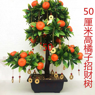 仿真植物盆景塑料橘子树小盆栽假客厅摆件装饰假桔树仿真树大盆景