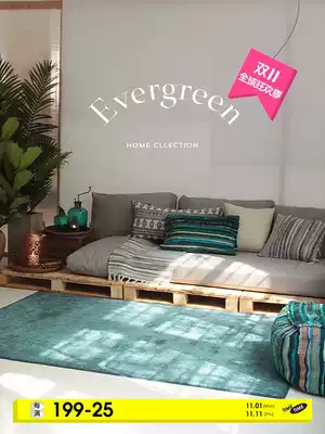 (Aoyama Meisuo) Original Design Oasis Nordic modern luxury carpet solid color living room bedroom mat INS Wind