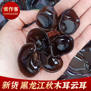 常作客秋木耳东北特产干货黑木耳椴木耳云耳无根免摘肉厚200g