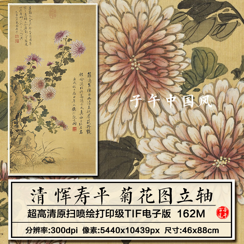 恽寿平画菊花图轴清朝古代写意花卉绘画装饰高清电子版大图片素材
