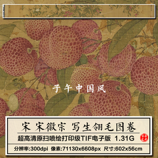 宋徽宗赵佶写生翎毛图卷宋朝古代工笔水果花鸟高清电子大图片素材