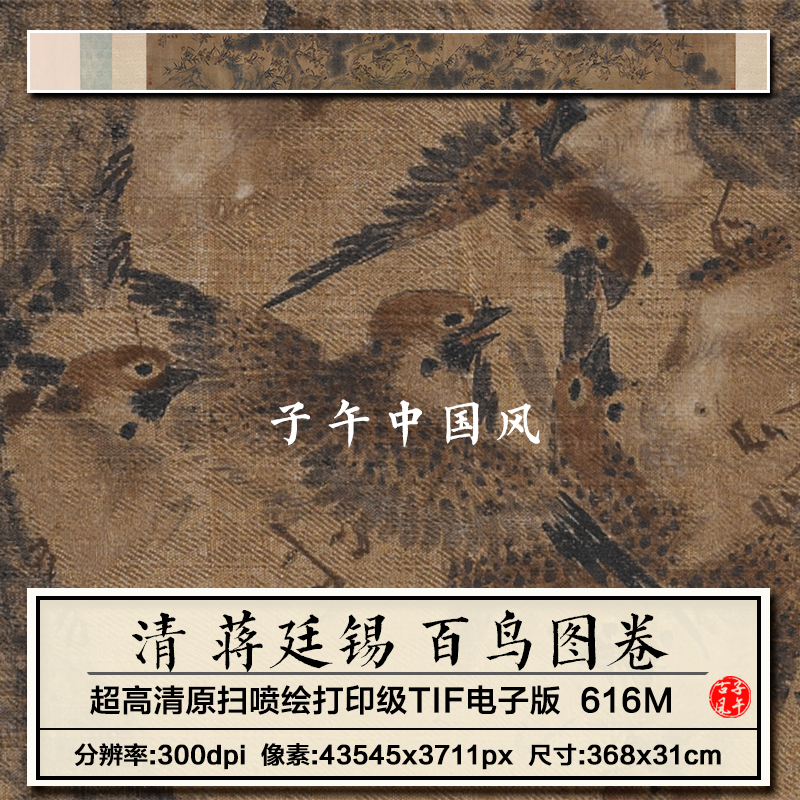 蒋廷锡百鸟图卷清朝古代麻雀绘画临摹设计打印高清电子版图片素材