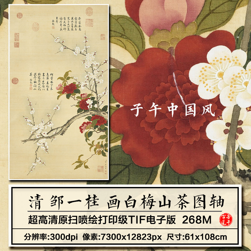邹一桂画白梅山茶图轴清朝古代工笔花卉装饰高清电子版大图片素材