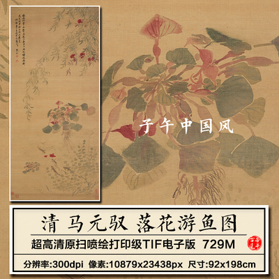 马元驭落花游鱼图清朝古代工笔花卉有余绘画高清电子版大图片素材