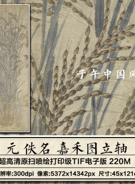 元朝佚名嘉禾图轴古代水稻粮食丰收字画装饰临摹高清电子图片素材