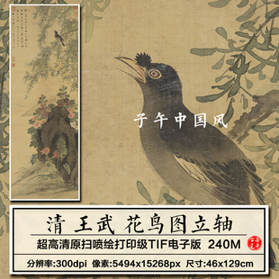 王武花鸟图立轴清朝古代奇石花鸟绘画装饰打印高清电子版图片素材