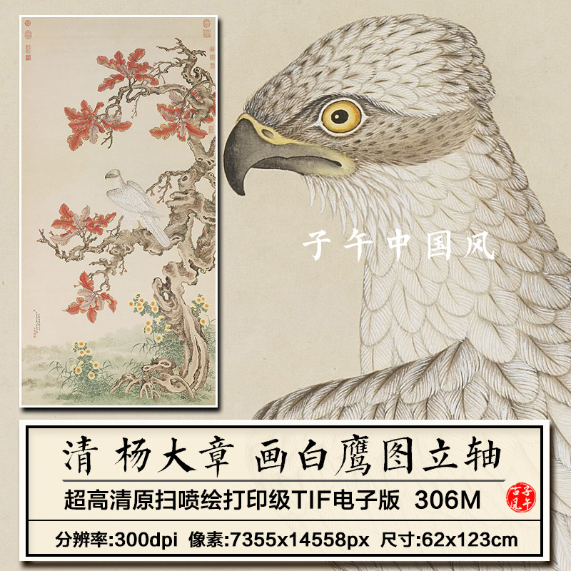 杨大章画白鹰图轴清朝古代工笔花鸟老鹰绘画高清电子版大图片素材