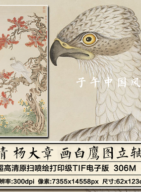 杨大章画白鹰图轴清朝古代工笔花鸟老鹰绘画高清电子版大图片素材