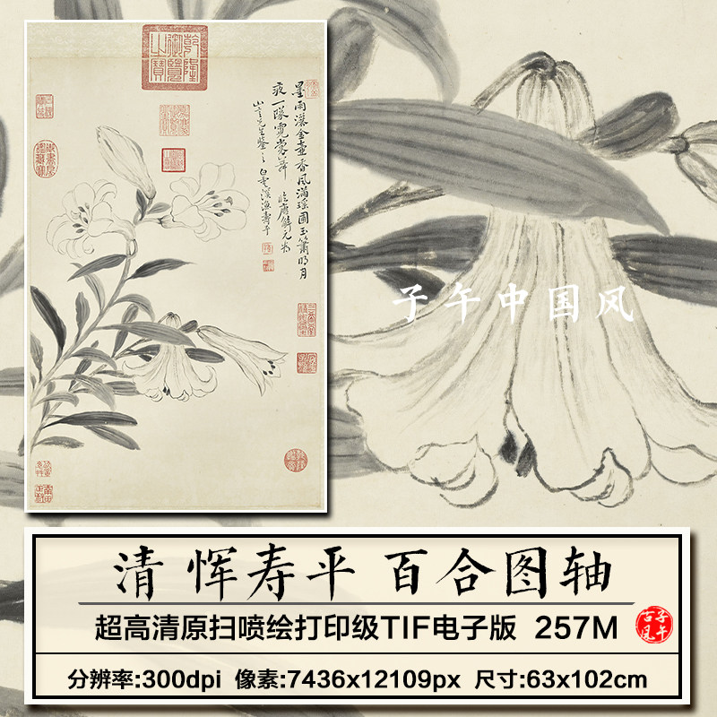 恽寿平百合图立轴清朝古代水墨花卉绘画装饰画高清电子版图片素材