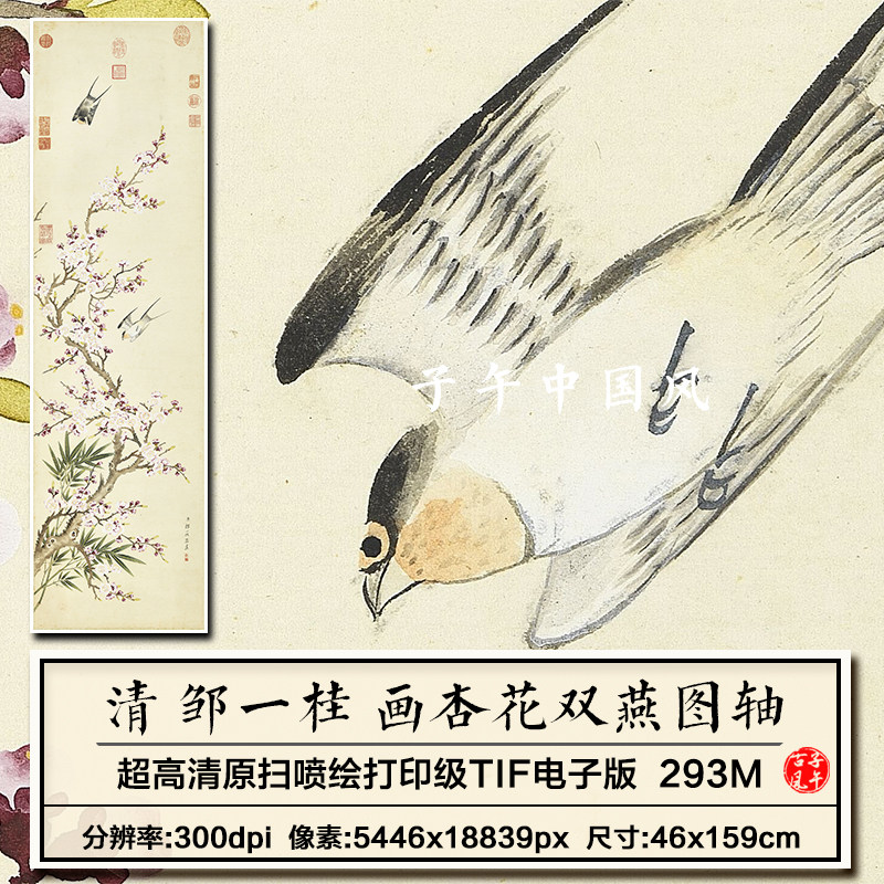 邹一桂画杏花双燕图轴清朝古代工笔花鸟装饰画高清电子版图片素材