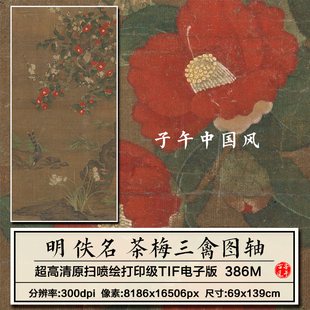 佚名茶梅三禽图明朝古代工笔花鸟绘画装饰打摹高清电子版图片素材