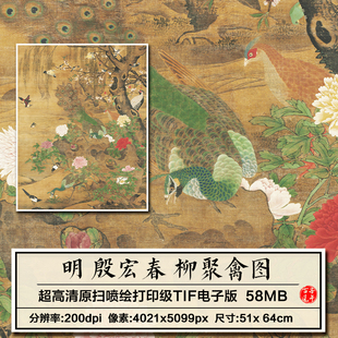 殷宏春柳聚禽图孔雀牡丹图明朝古代花鸟工笔国画高清电子图片素材