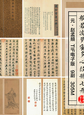 元赵孟頫行书般若波萝蜜多心经册9副毛笔书法 高清电子版图片素材