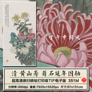 黄山寿菊石延年图轴清朝古代菊花国画装饰打印高清电子版图片素材