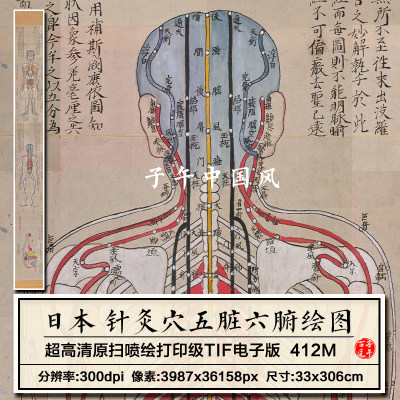 日本针灸穴五脏六腑绘图古代医学穴位参考绘画高清电子版图片素材