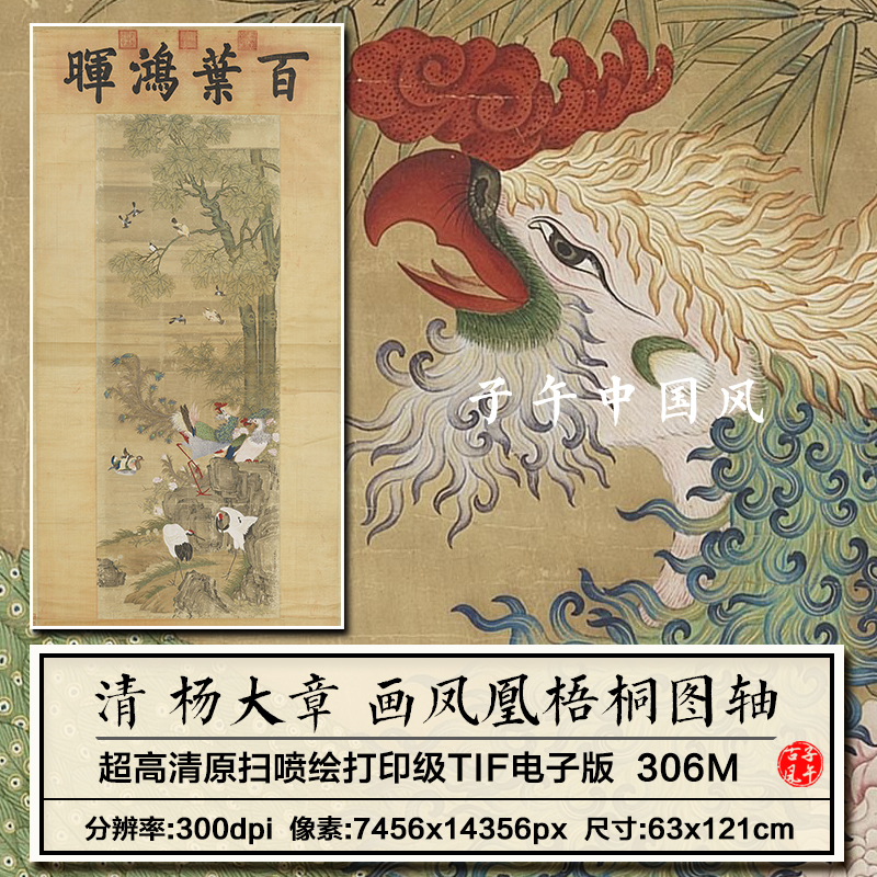 杨大章画凤凰梧桐图轴清朝古代工笔花鸟绘画高清电子版大图片素材