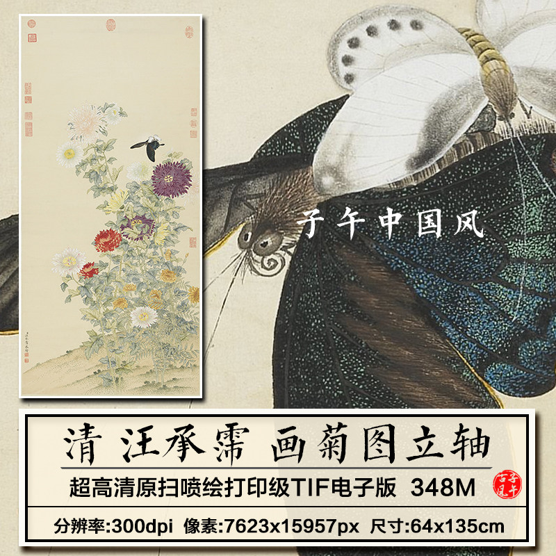 汪承霈画菊图立轴清朝古代工笔菊花蝴蝶绘画高清电子版大图片素材